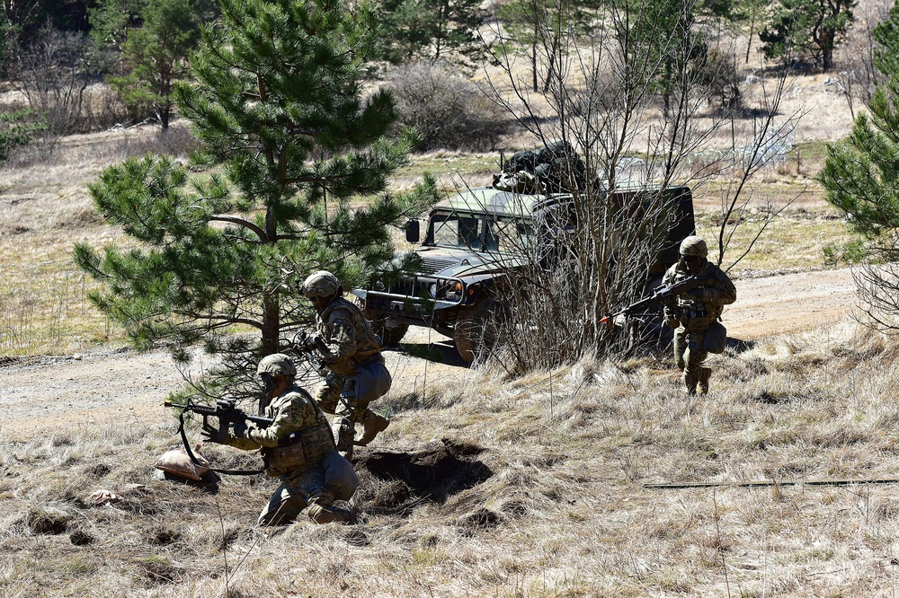 Exercise Lipizzaner V