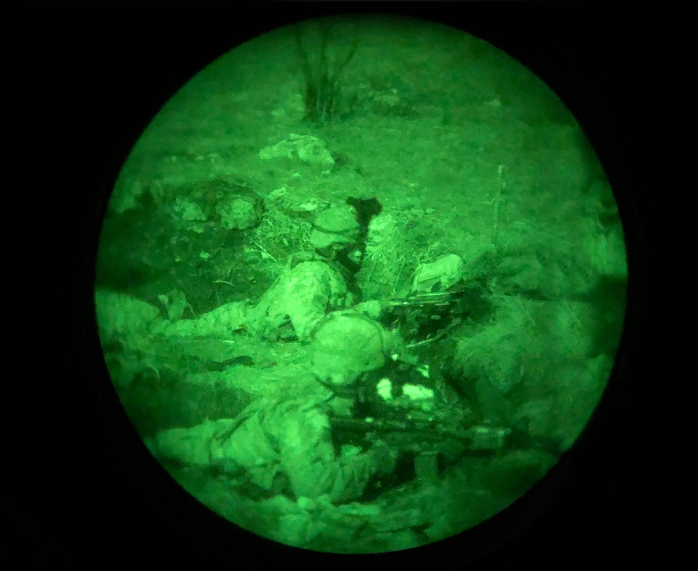 Exercise Lipizzaner V