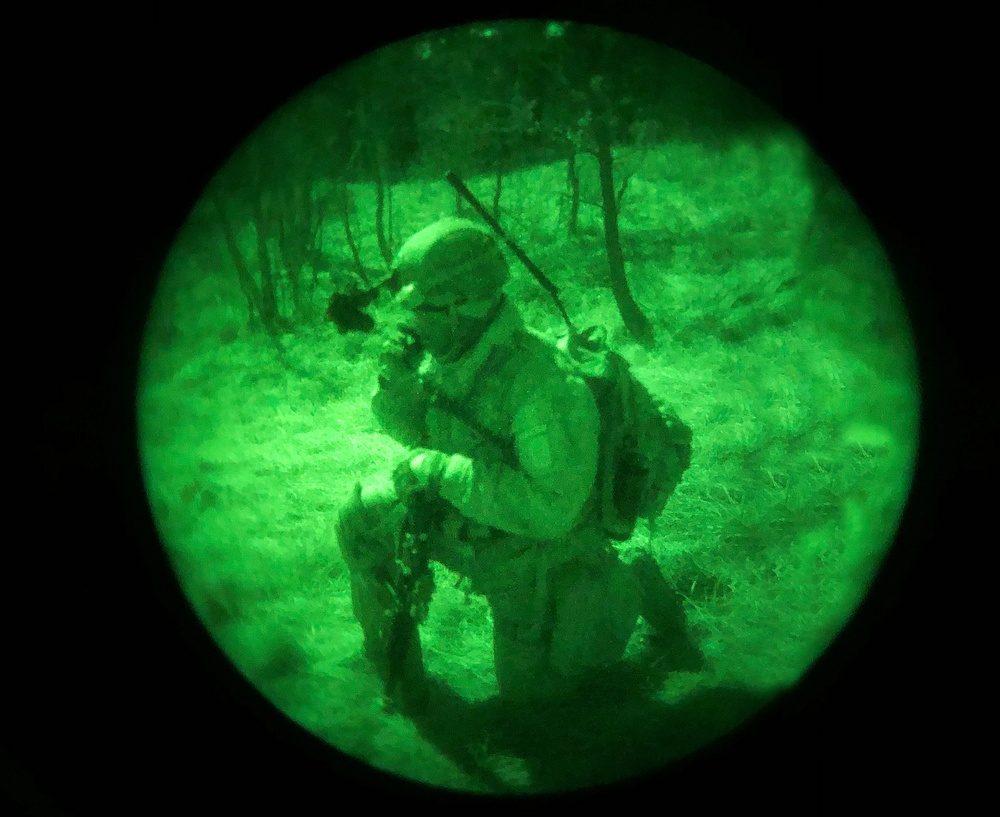 Exercise Lipizzaner V