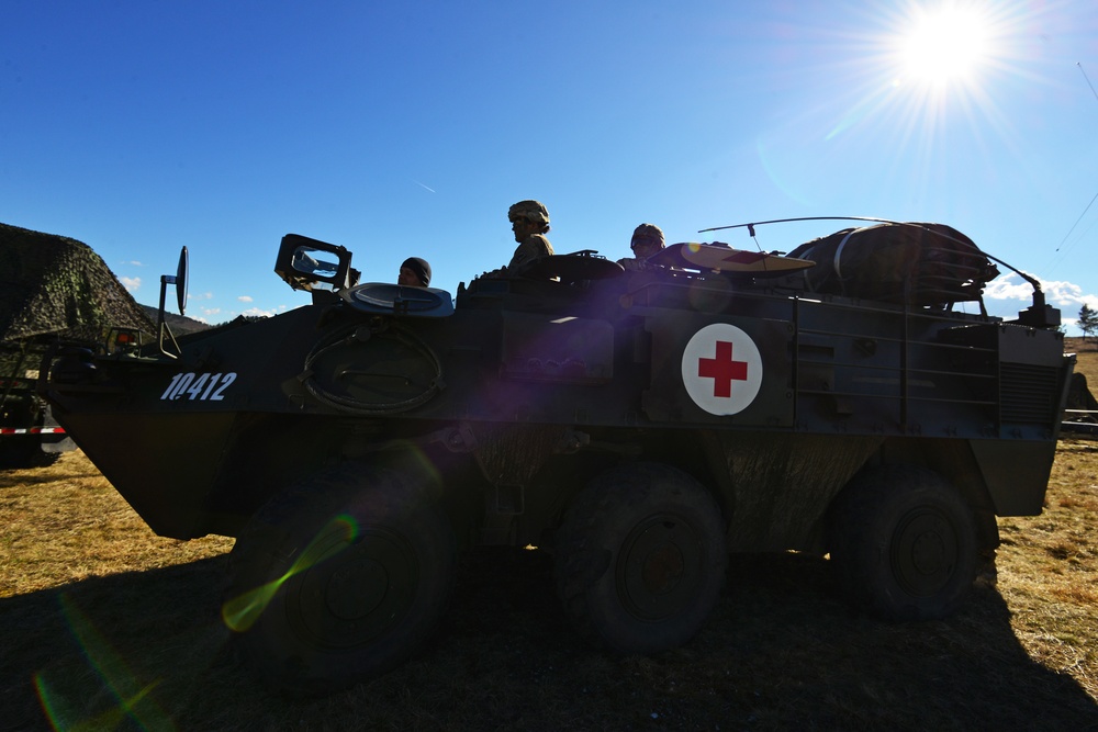 Exercise Lipizzaner V