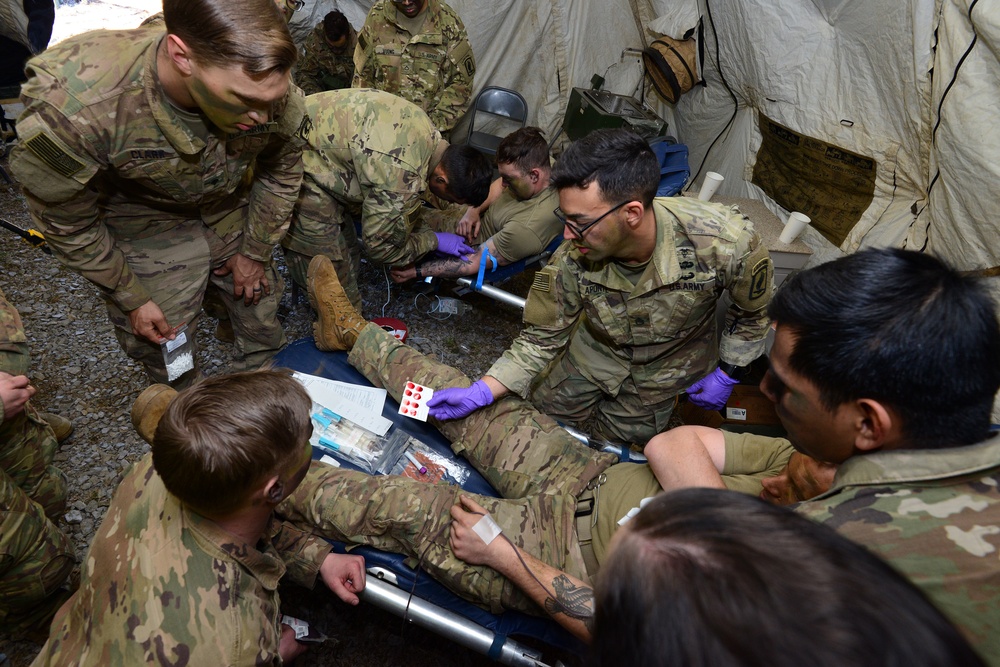 Exercise Lipizzaner V