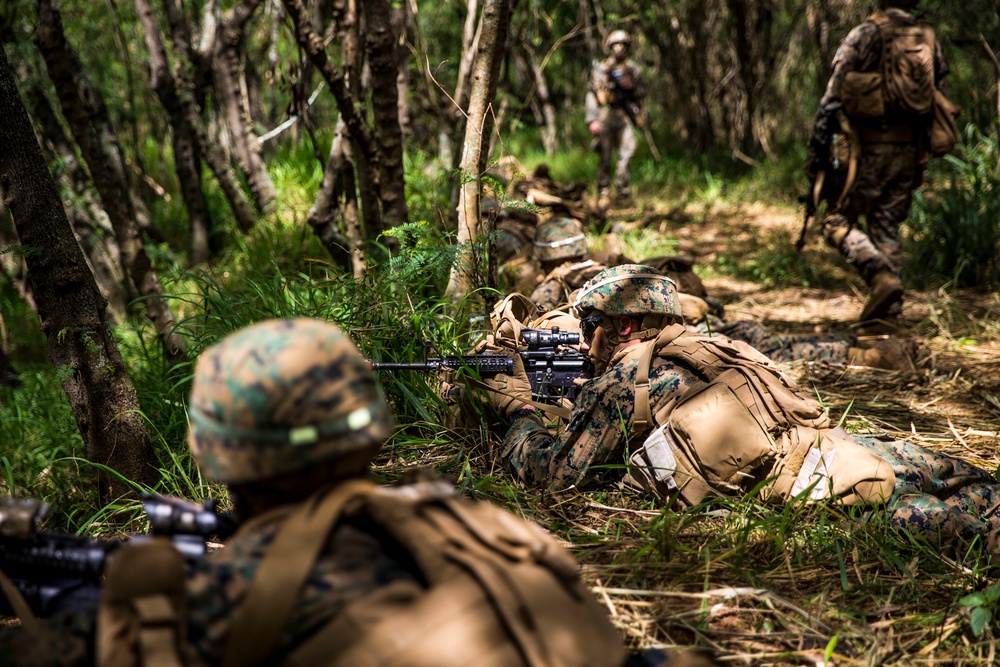 Golf Company Tackles MCTAB