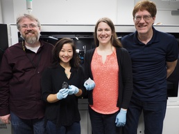 Martian meteorites land at Army lab