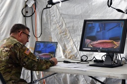 Battlefield emergent skills triad training