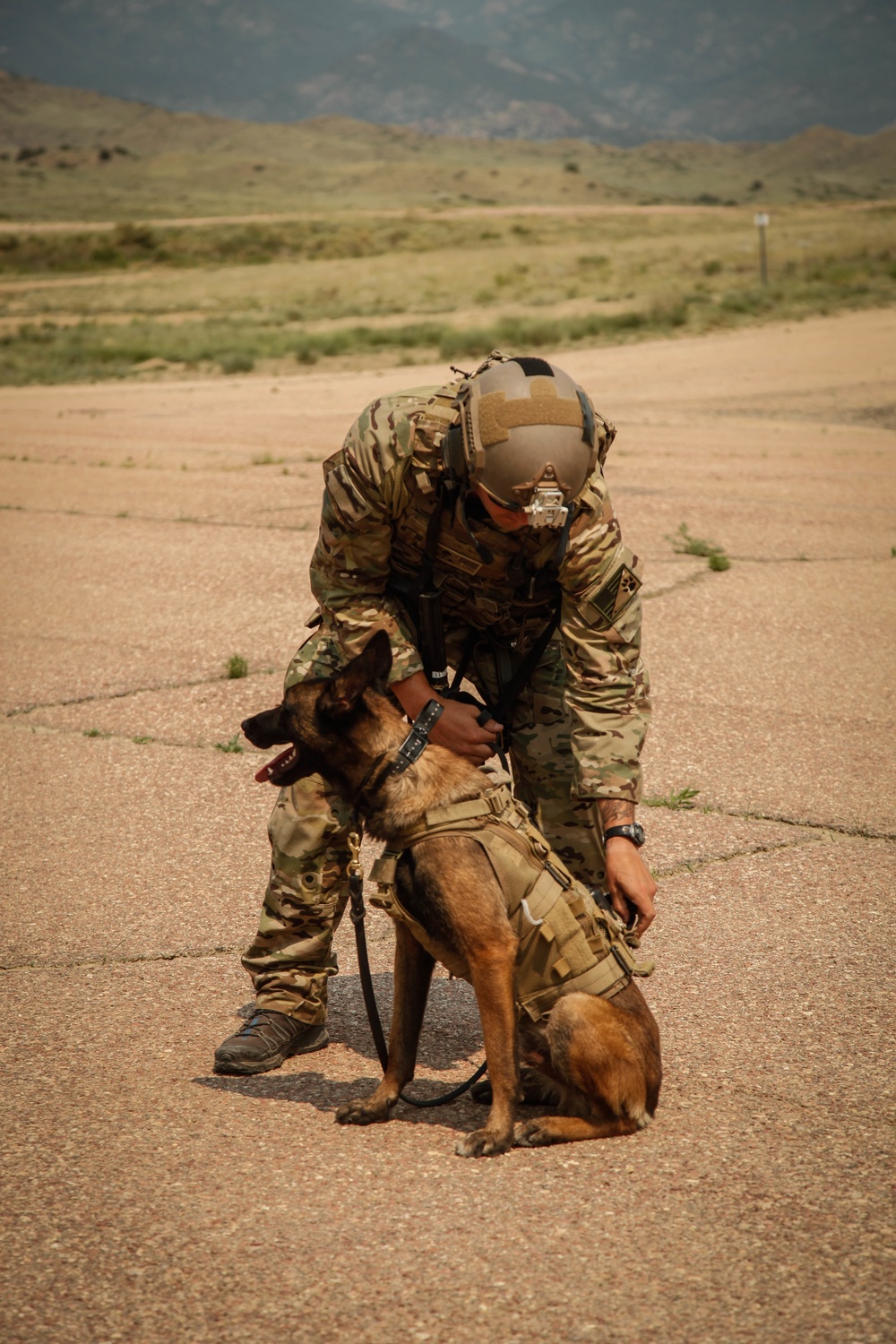 10th Group's four-legged Operators Train for Combat