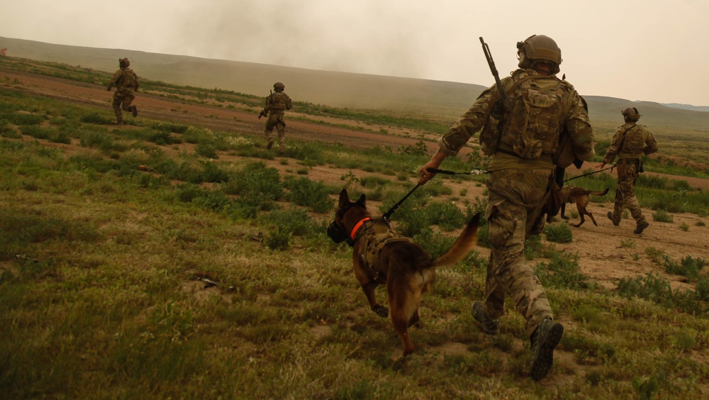 10th Group's four-legged Operators Train for Combat