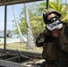 Landing Craft Utility 1651, 31st MEU conduct beach raid