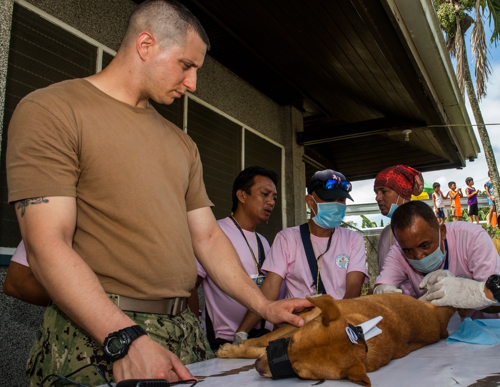 Roberto Calahi Prepares Dog for Sterilization