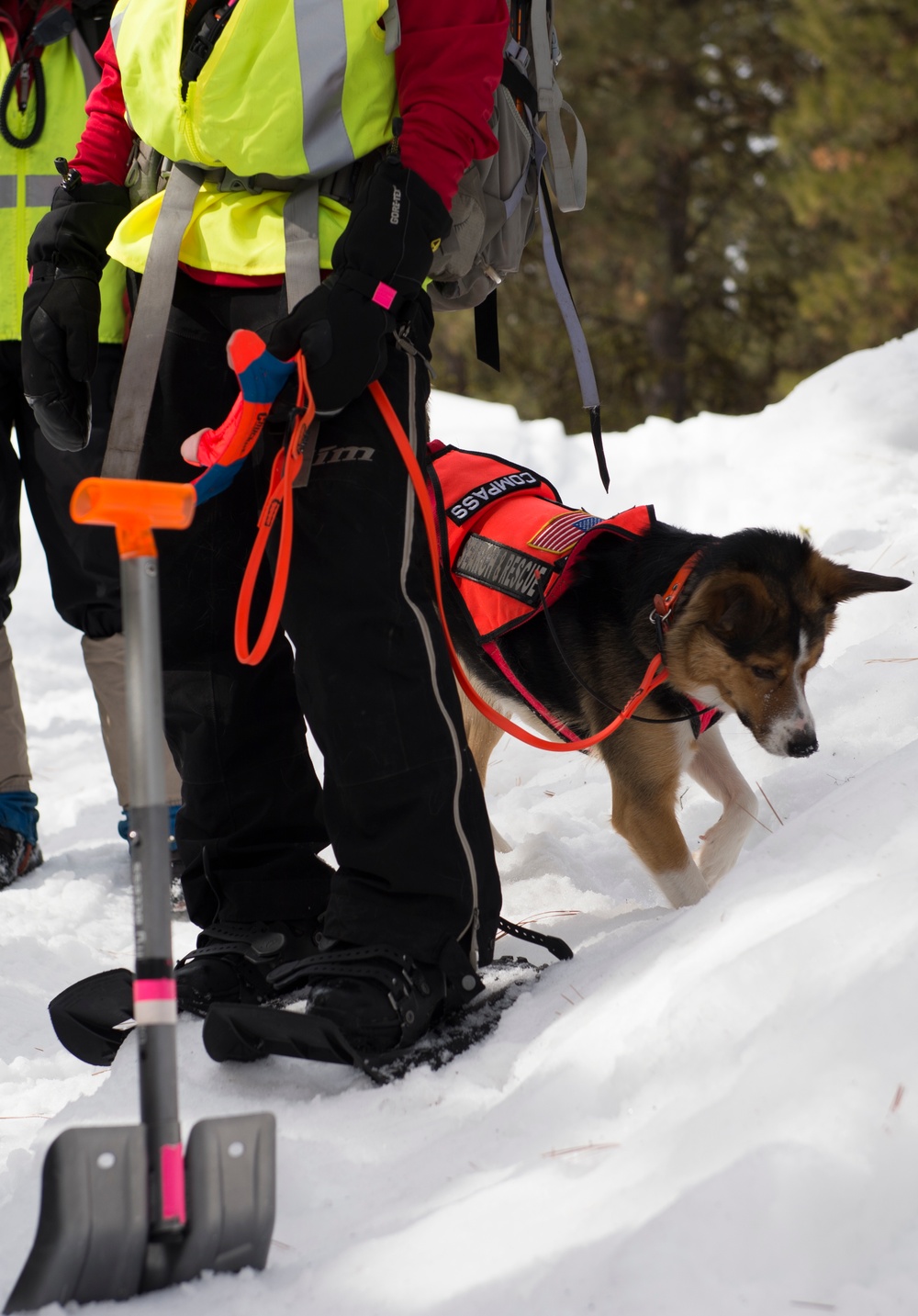 IDANG members participate in search and rescue training