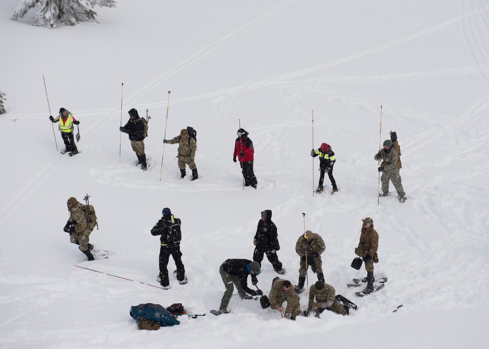 IDANG members participate in avalanche search and rescue training