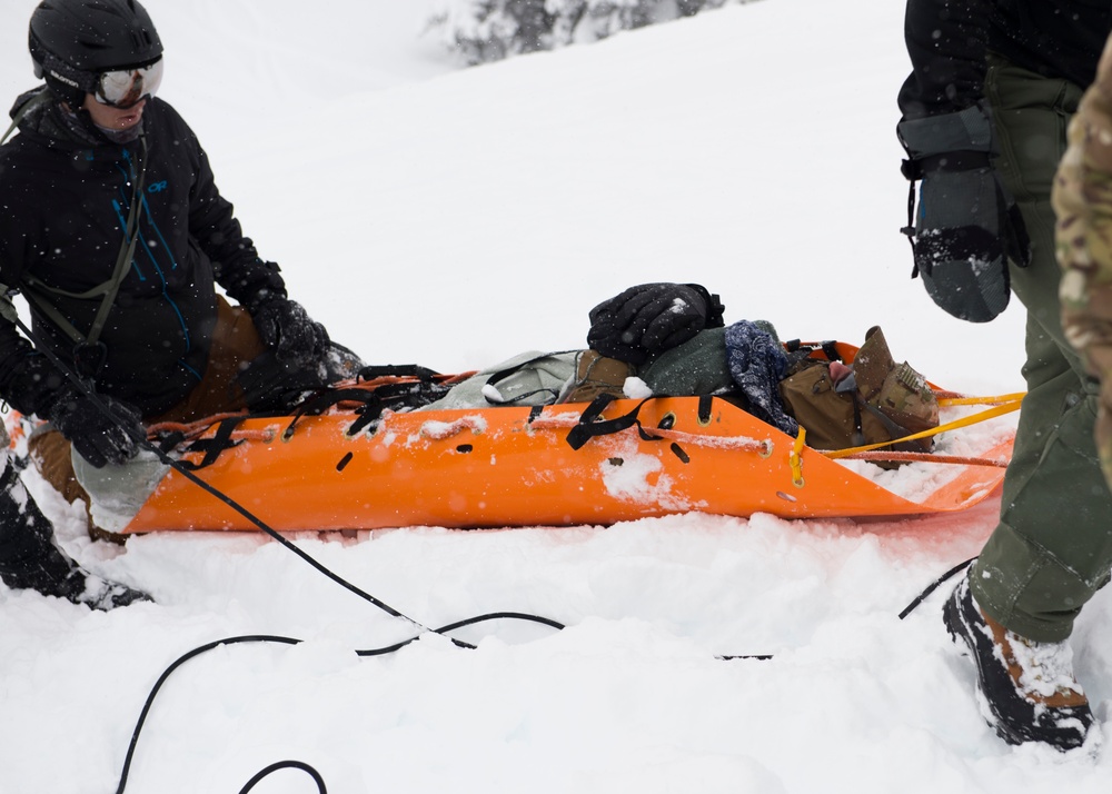 IDANG members participate in avalanche search and rescue training