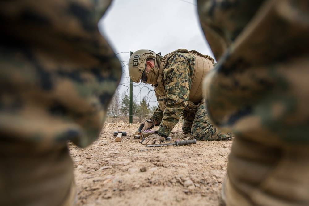 EOD Marines in Dynamic Front 19