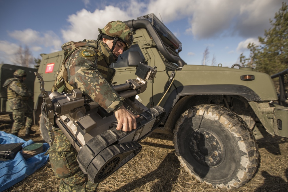 EOD Marines in Dynamic Front 19