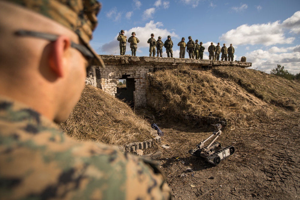 EOD Marines in Dynamic Front 19