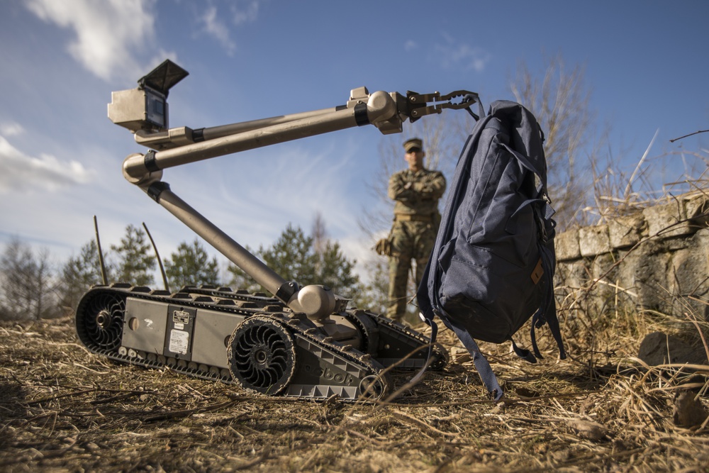 EOD Marines in Dynamic Front 19