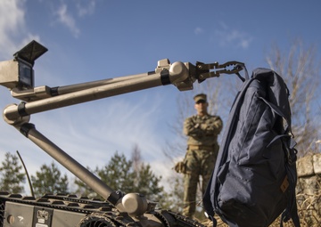 EOD Marines in Dynamic Front 19