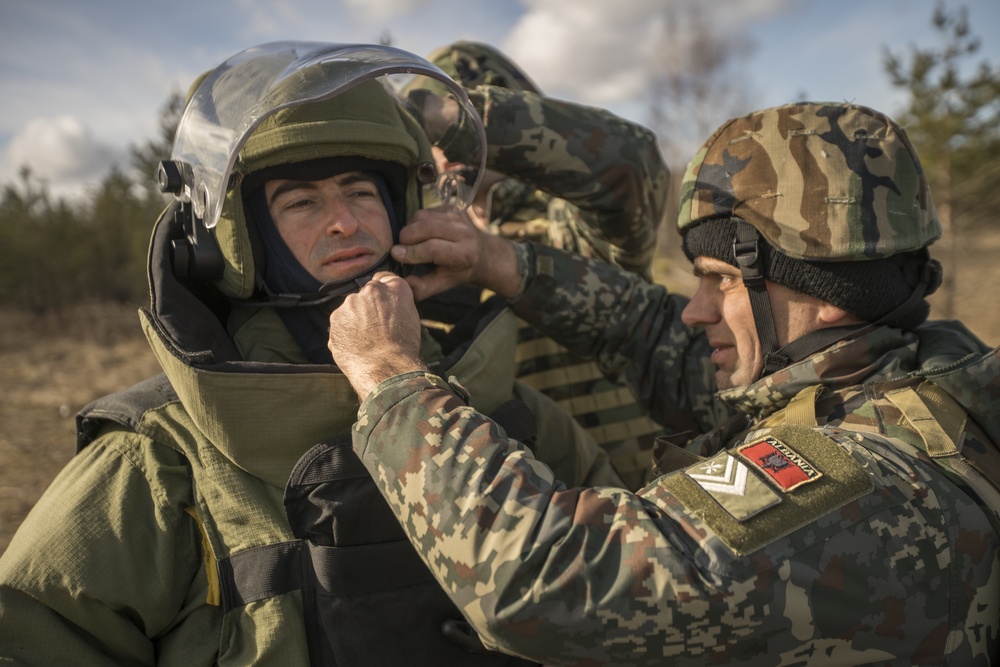 EOD Marines in Dynamic Front 19