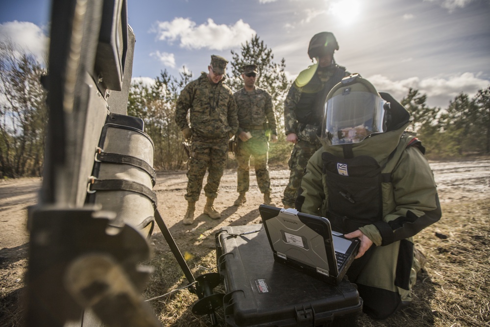 EOD Marines in Dynamic Front 19