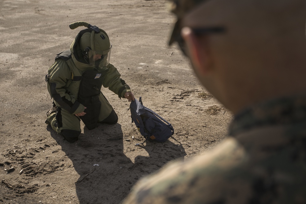 EOD Marines in Dynamic Front 19