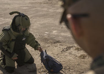 EOD Marines in Dynamic Front 19