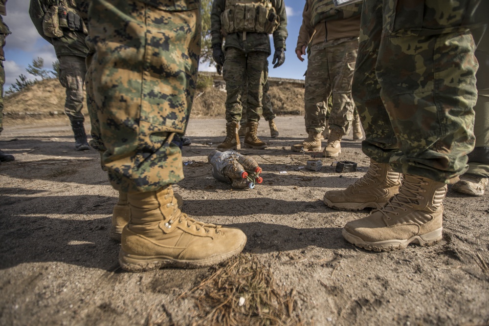 EOD Marines in Dynamic Front 19