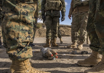 EOD Marines in Dynamic Front 19