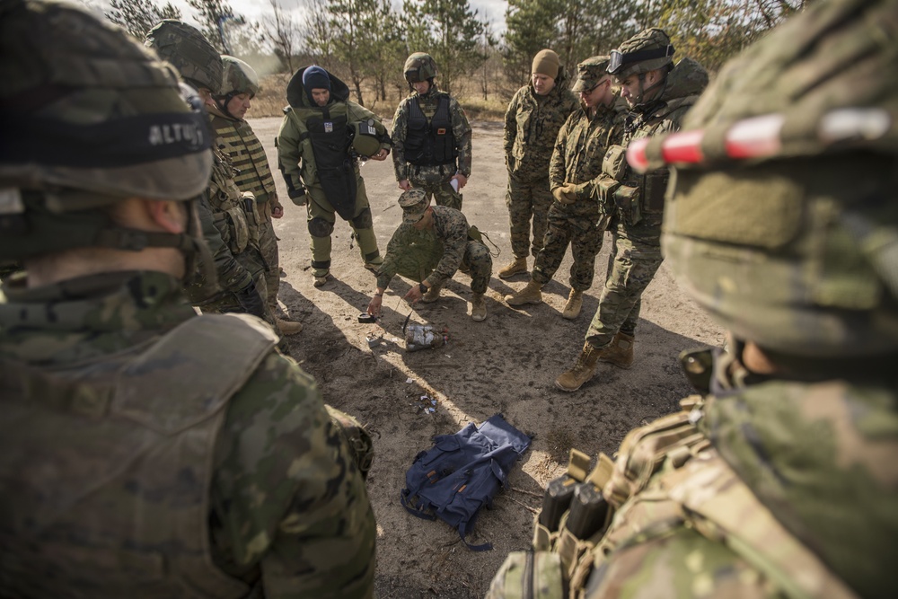 EOD Marines in Dynamic Front 19