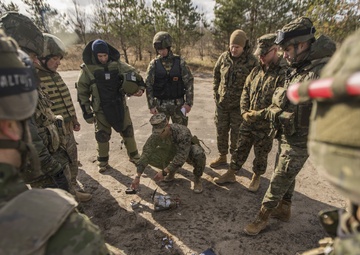 EOD Marines in Dynamic Front 19