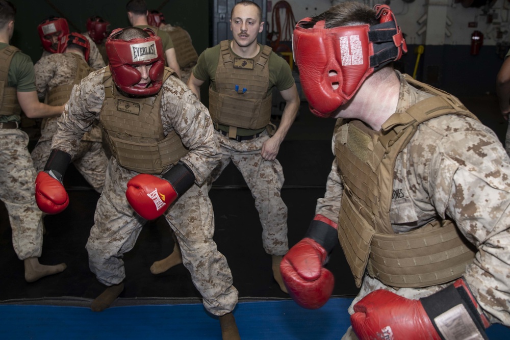 Martial Arts Instructor Course Free Sparring