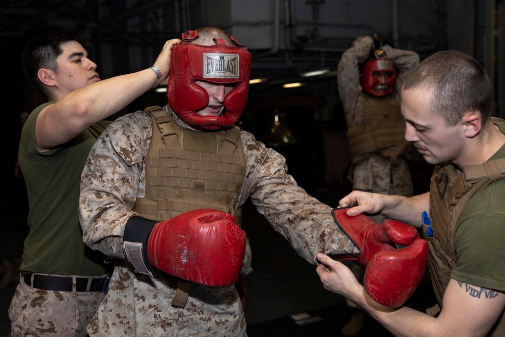 Martial Arts Instructor Course Free Sparring