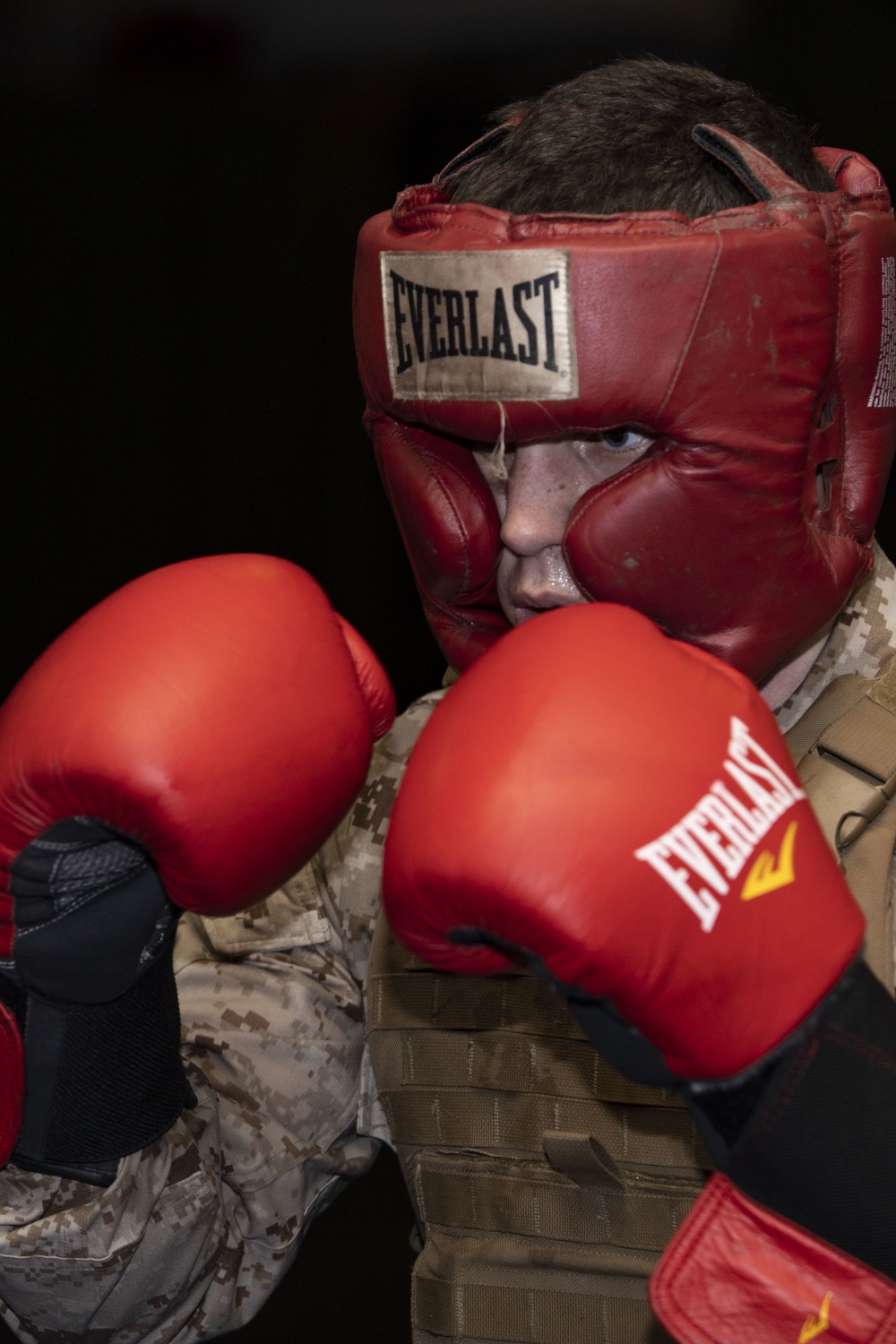 Martial Arts Instructor Course Free Sparring