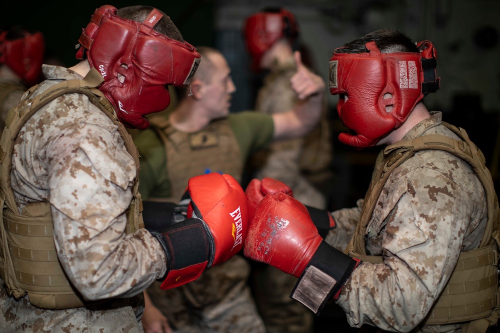 Martial Arts Instructor Course Free Sparring