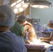 U.S. Navy medical team works side-by-side with Marshallese medical staff at Majuro Hospital