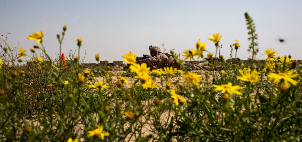 Kilo Co. Squad Competition: SPMAGTF-CR-CC 19.1