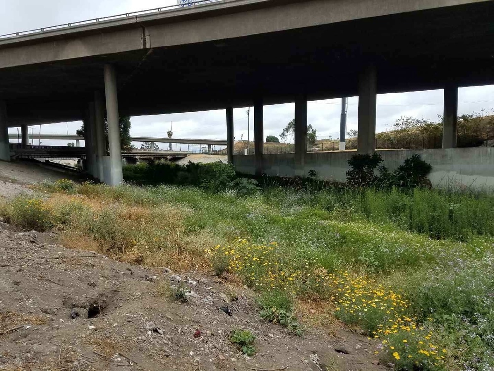 Corps awards $529,000 contract for Compton Creek sediment and vegetation removal