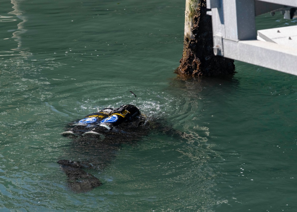 Seabees from UCT-2 and Sailors from CRS-3 and 11 Perform Pier Hydrographic Survey Training at Santa Rosa Island During Pacific Blitz 2019