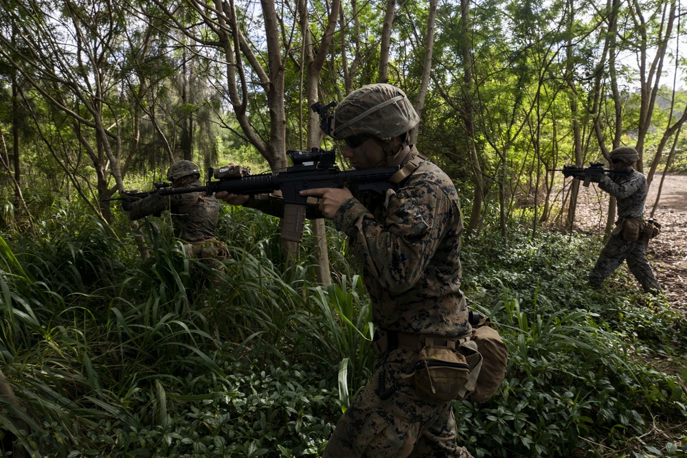 Exercise Bougainville I: An Echo in the Jungle