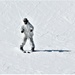 Students in Cold-Weather Operations Course Class 19-06 complete skiing familiarization at Fort McCoy