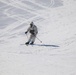 Students in Cold-Weather Operations Course Class 19-06 complete skiing familiarization at Fort McCoy