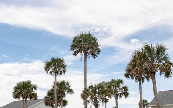 Navy to conduct Annual PPV Tenant Satisfaction Survey