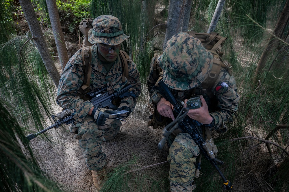 Exercise Bougainville I: An Echo in the Jungle