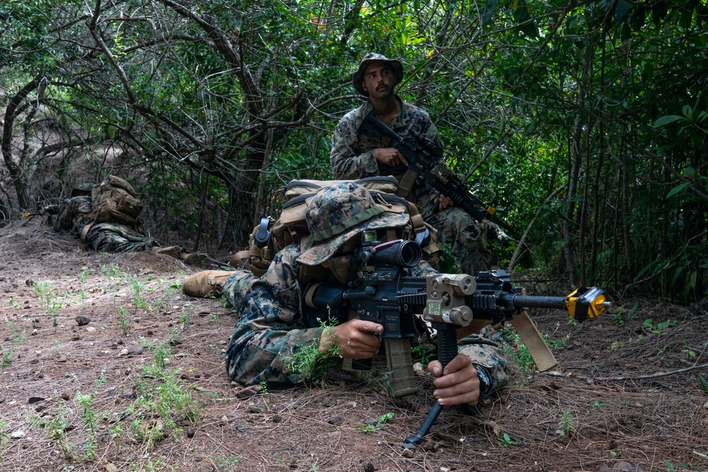Exercise Bougainville I: An Echo in the Jungle
