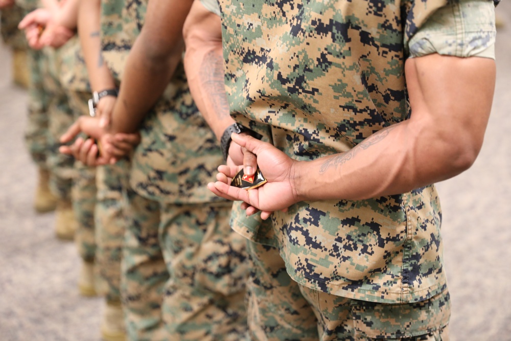 See something, do something | CLR-37 Marines awarded for assisting 1st MAW Marine in need