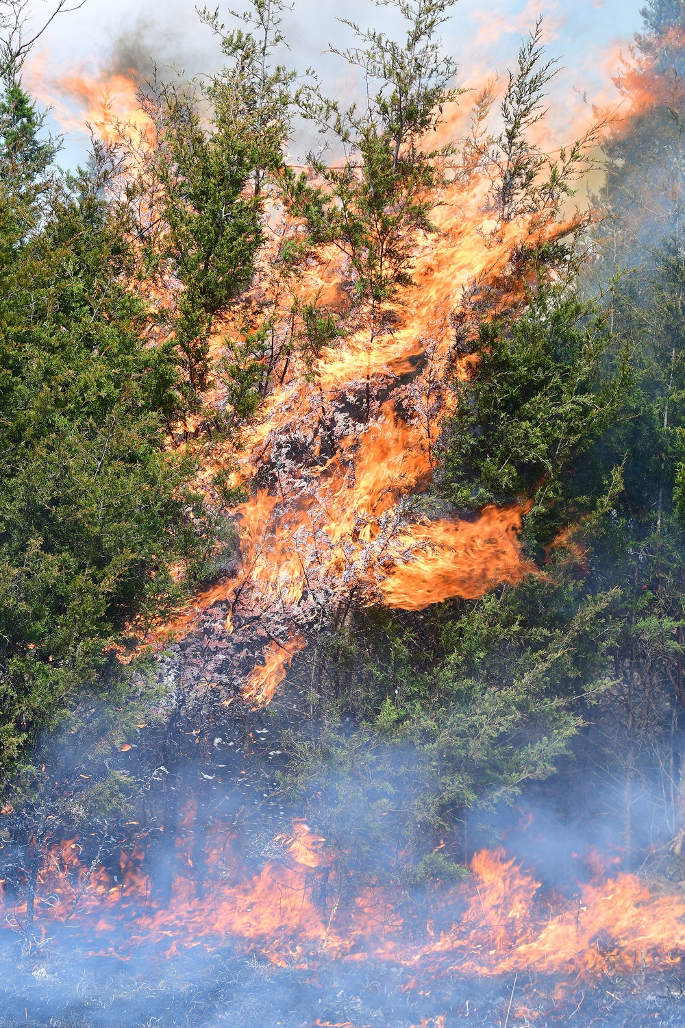 Natural Resources team begins prescribed fire season after historic rainfall