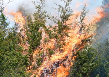 Natural Resources team begins prescribed fire season after historic rainfall