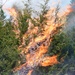Natural Resources team begins prescribed fire season after historic rainfall