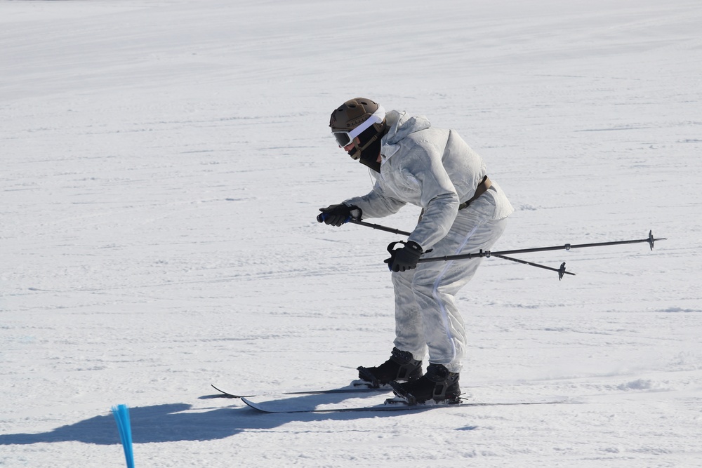 Cold-Weather Operations Course Class 19-06 students learn skiing at Fort McCoy