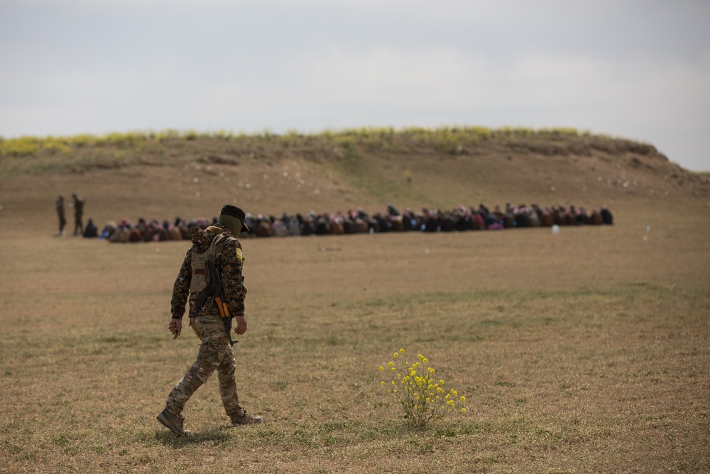 SDF Screen Surrendered Members of Daesh