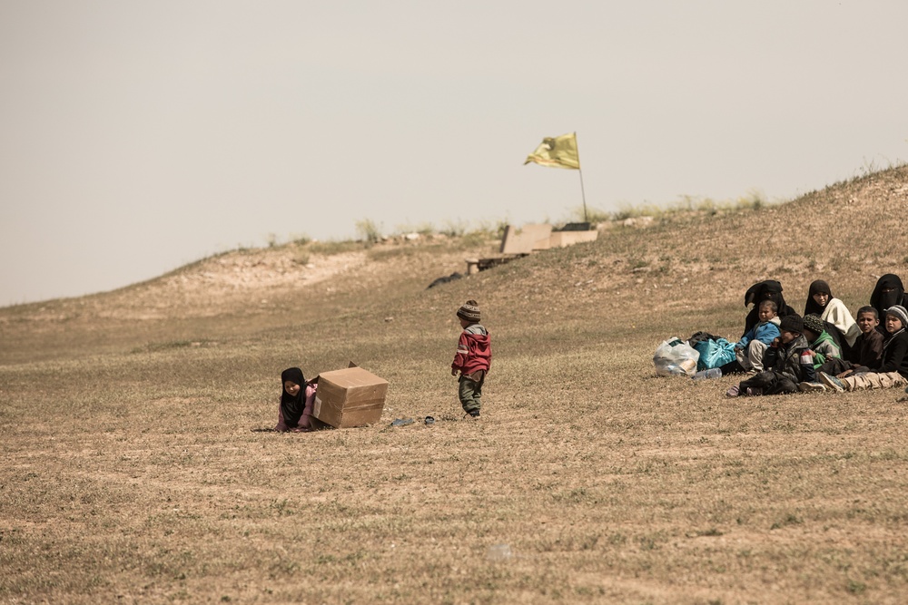 SDF Screen Surrendered Members of Daesh