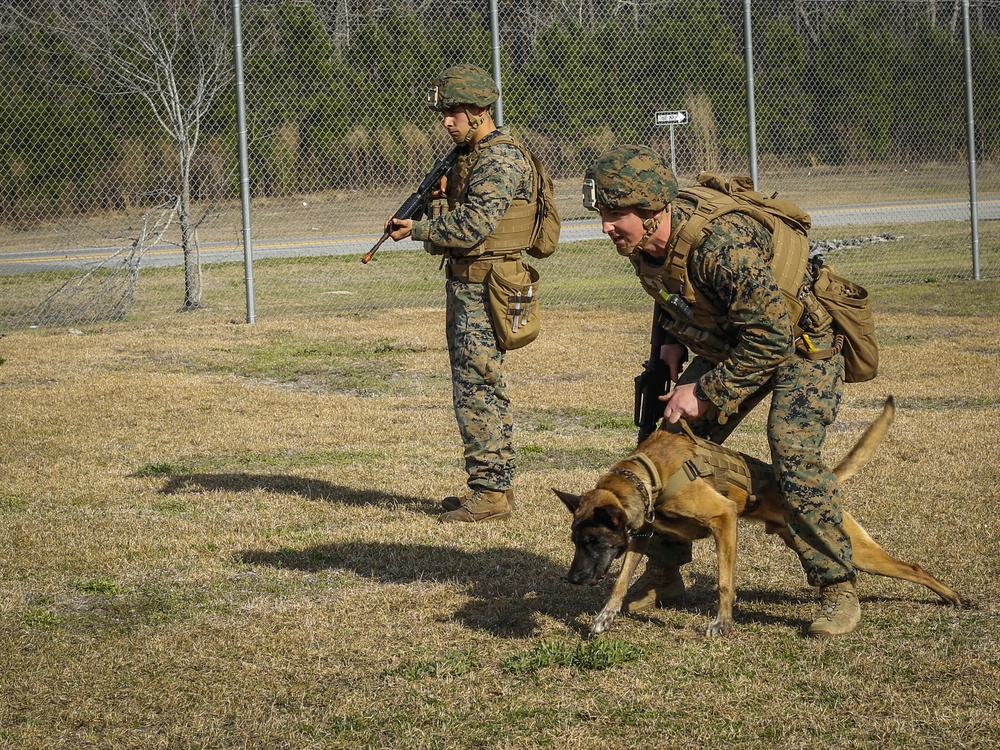 2nd Law Enforcement Battalion hosts official visit for French National Gendarmerie